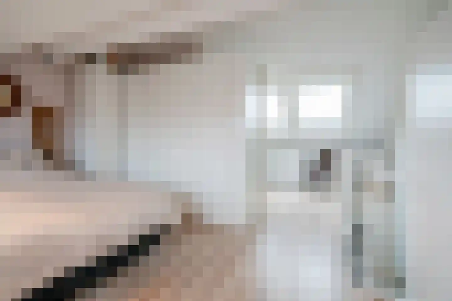 Waalstroom 13 Zoetermeer thumbnail 33