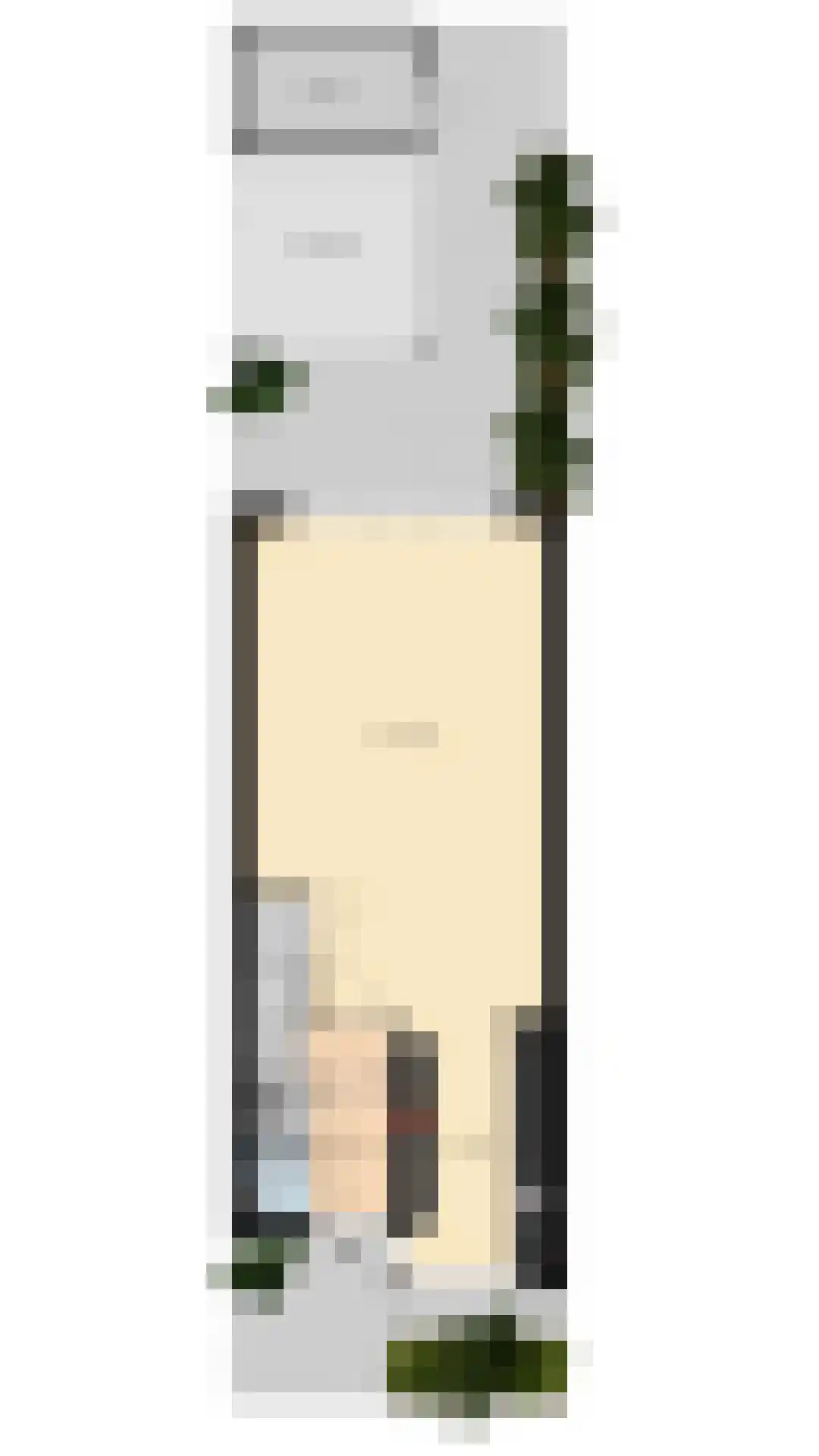 Waalstroom 13 Zoetermeer thumbnail 41