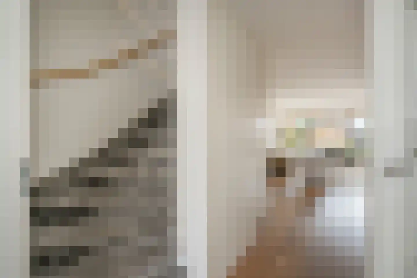 Waalstroom 13 Zoetermeer thumbnail 6