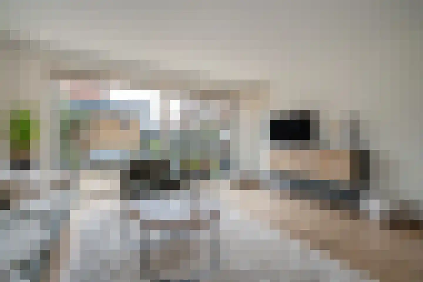Waalstroom 13 Zoetermeer thumbnail 9