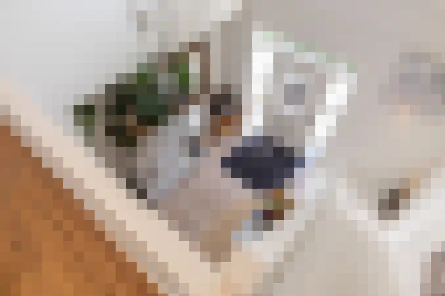 Waalweg 35 Ridderkerk thumbnail 45