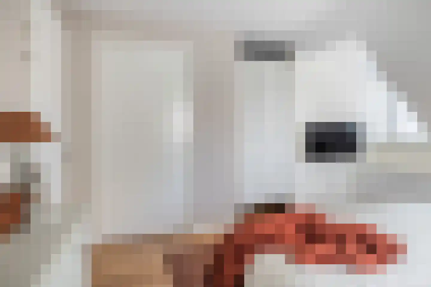 Waalweg 35 Ridderkerk thumbnail 47