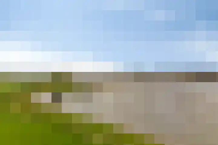 Waalzicht 1 Ochten foto 3