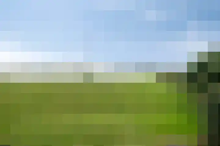 Waalzicht 1 Ochten thumbnail 39