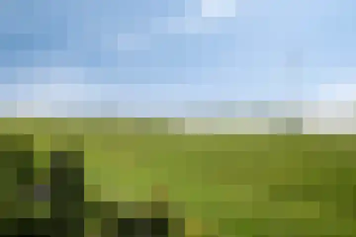 Waalzicht 1 Ochten thumbnail 40