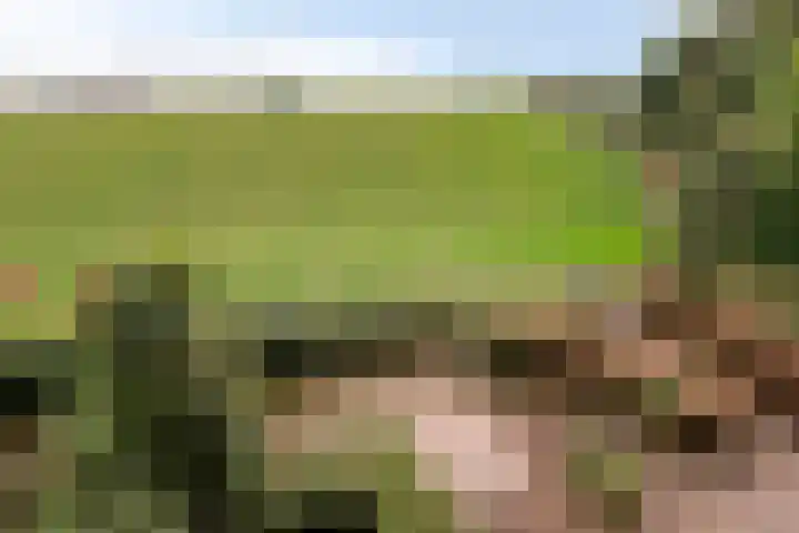 Waalzicht 1 Ochten thumbnail 41