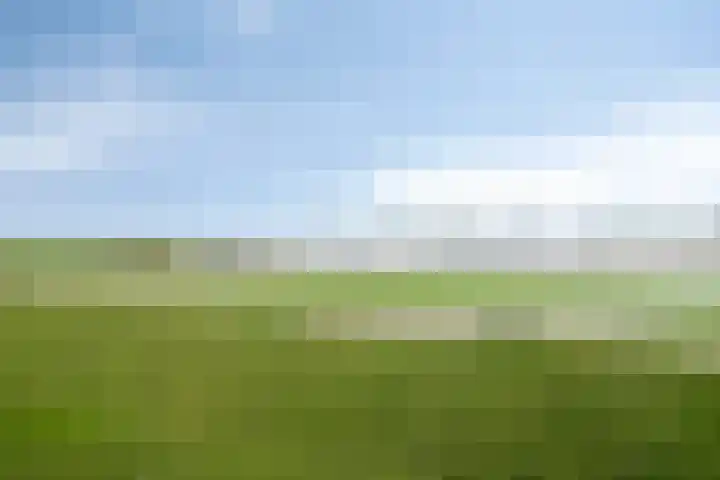 Waalzicht 1 Ochten thumbnail 49