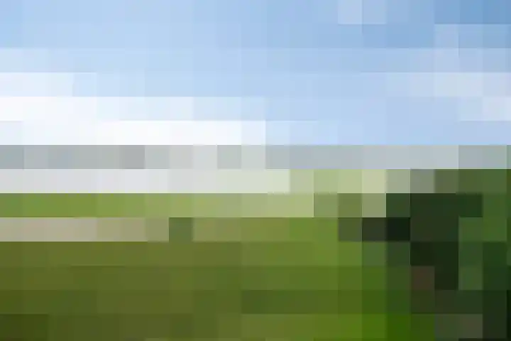 Waalzicht 1 Ochten thumbnail 50