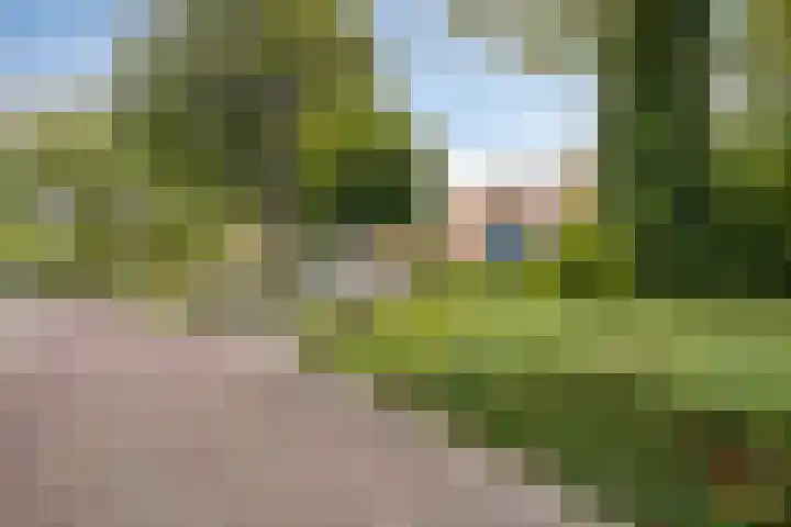 Waalzicht 1 Ochten thumbnail 6