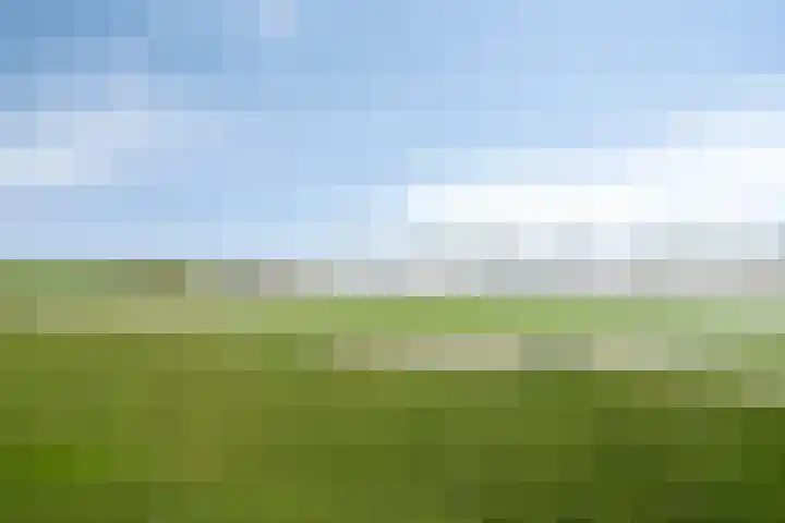 Waalzicht 1 Ochten thumbnail 66