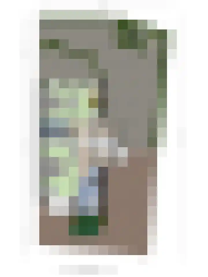 Waalzicht 1 Ochten thumbnail 69