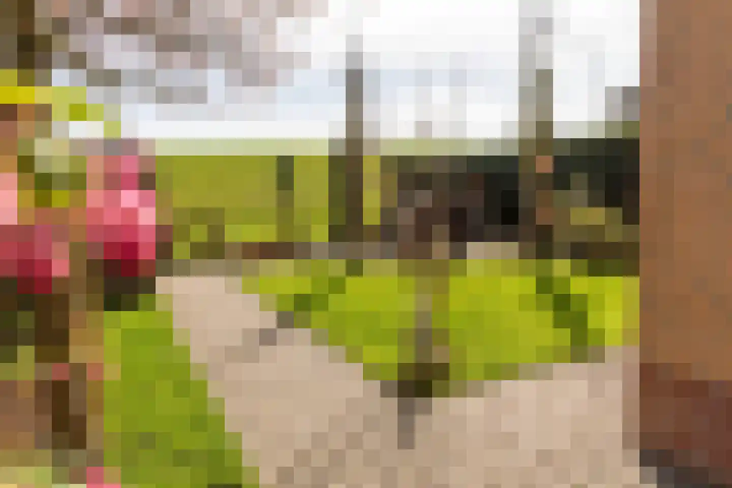 Waalzicht 4 Ochten thumbnail 56