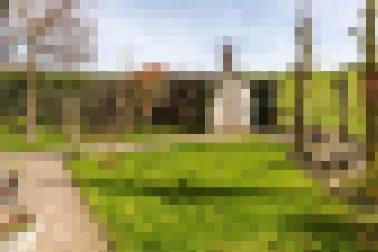 Waalzicht 4 Ochten thumbnail 57