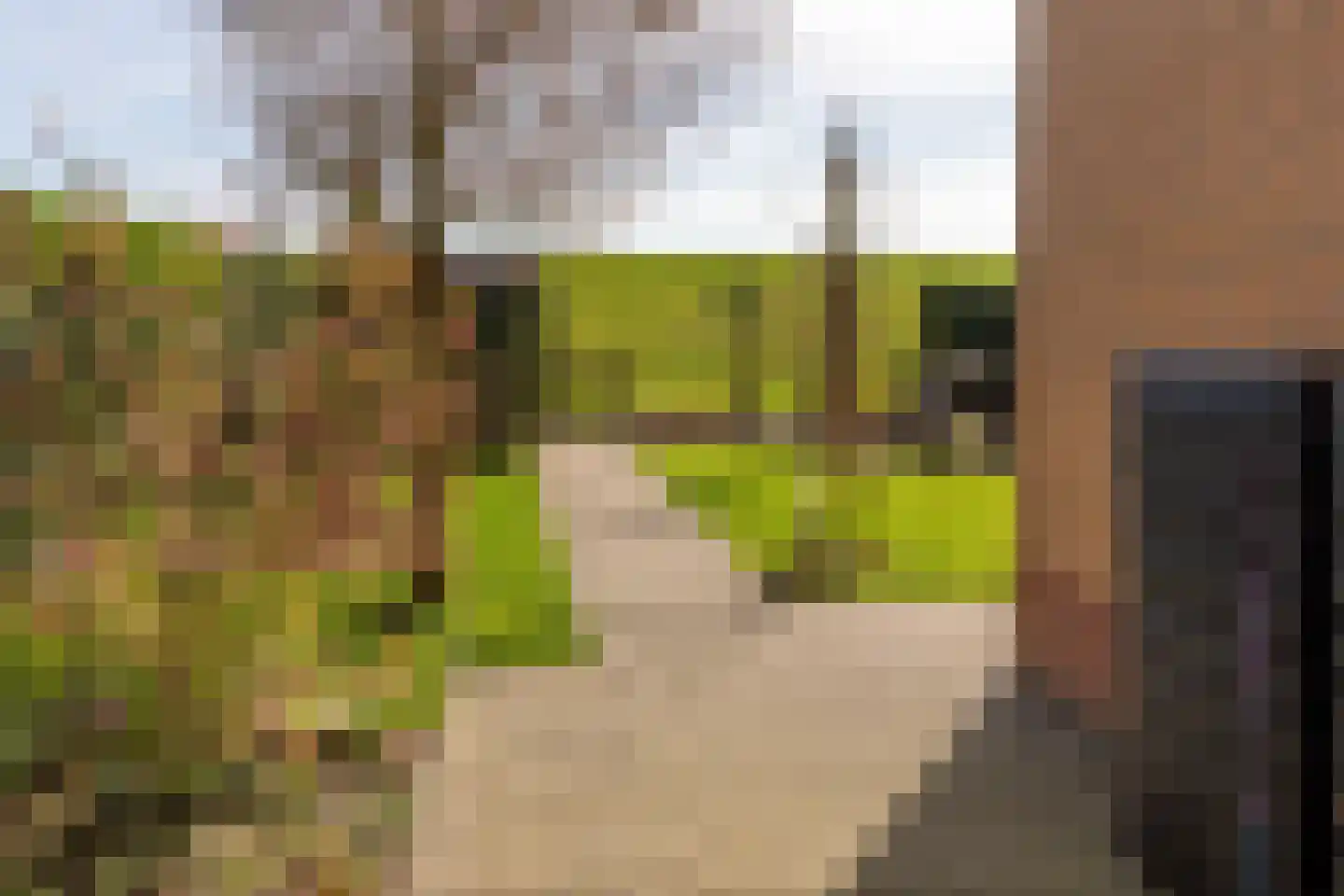 Waalzicht 4 Ochten thumbnail 91