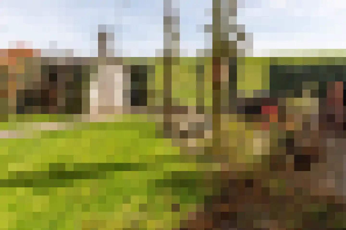 Waalzicht 4 Ochten thumbnail 92