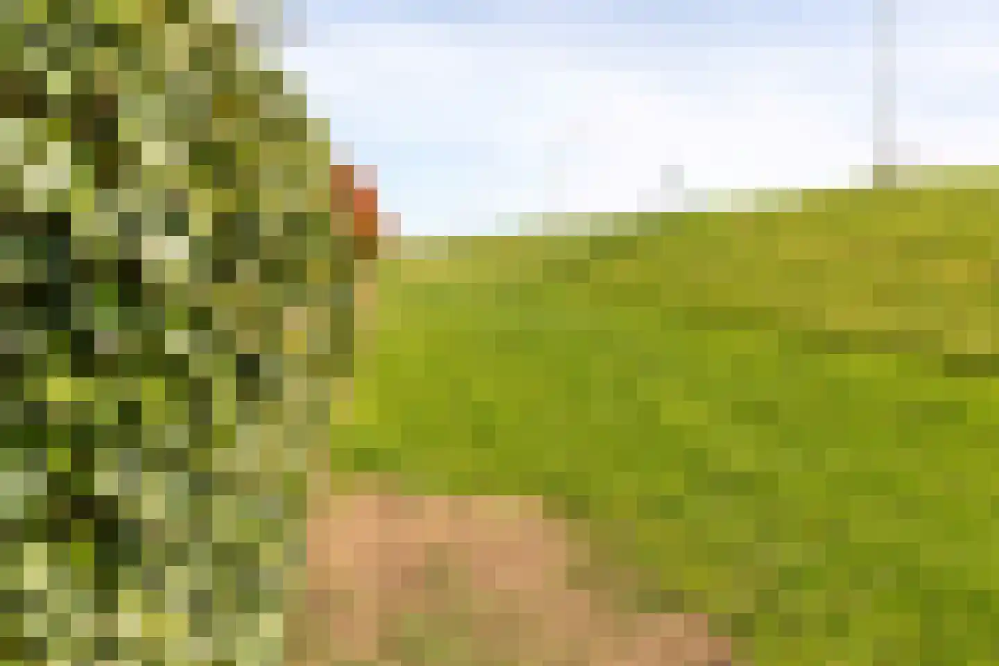 Waalzicht 4 Ochten thumbnail 93