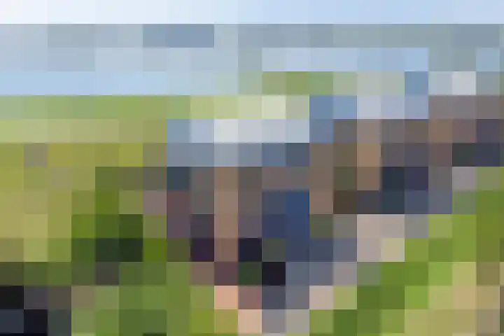 Waalzicht 6 Ochten thumbnail 10