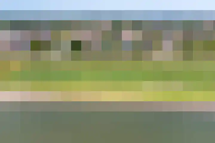 Waalzicht 6 Ochten thumbnail 11