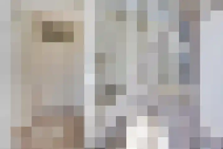 Waalzicht 6 Ochten thumbnail 18