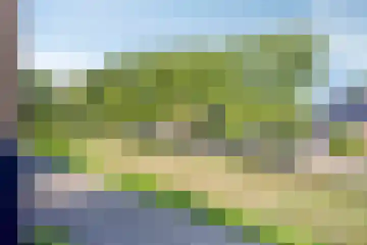 Waalzicht 6 Ochten thumbnail 28