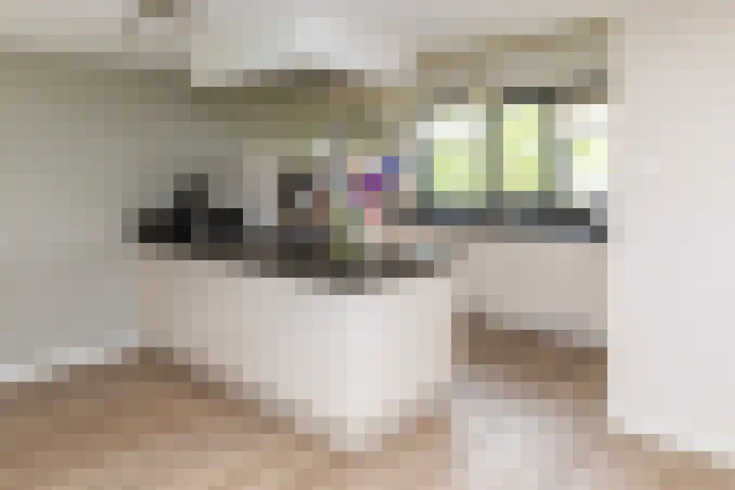 Waalzicht 6 Ochten foto 3