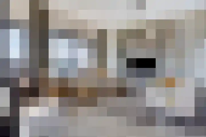 Waalzicht 6 Ochten thumbnail 32