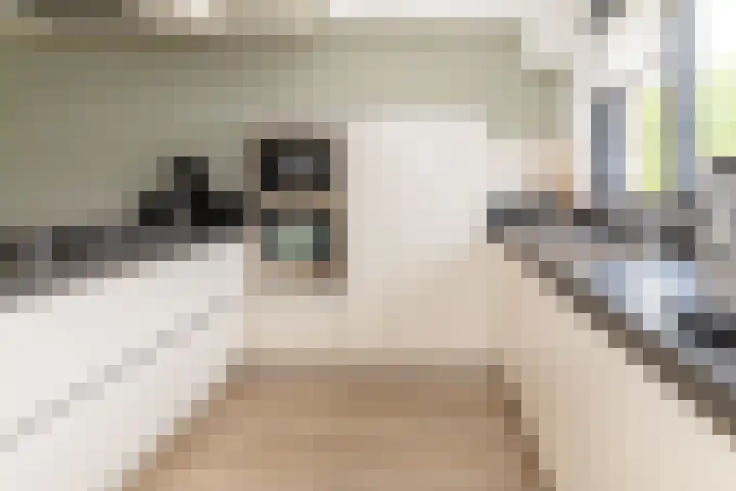 Waalzicht 6 Ochten thumbnail 33