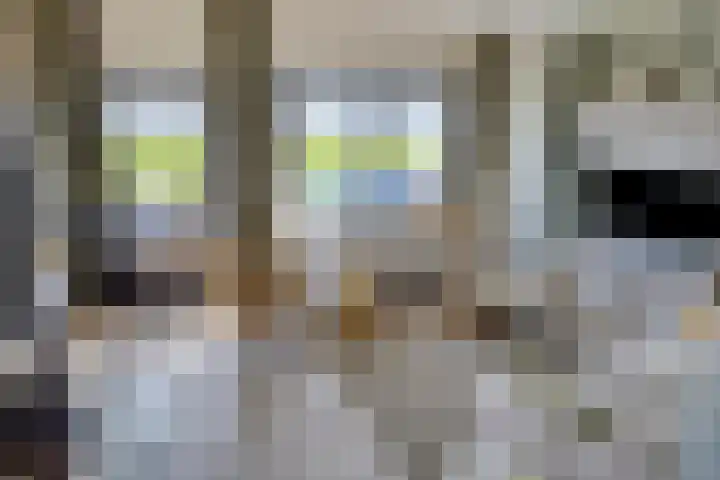Waalzicht 6 Ochten thumbnail 34