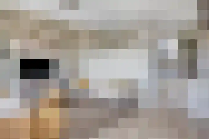 Waalzicht 6 Ochten thumbnail 35