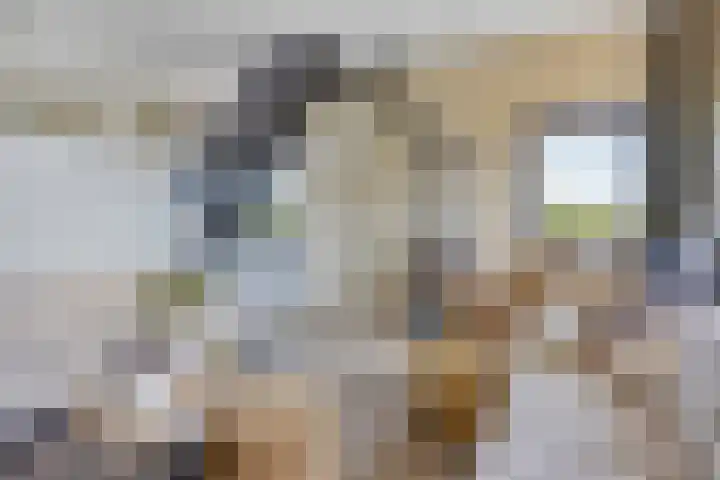 Waalzicht 6 Ochten thumbnail 36