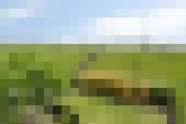 Waalzicht 6 Ochten thumbnail 39