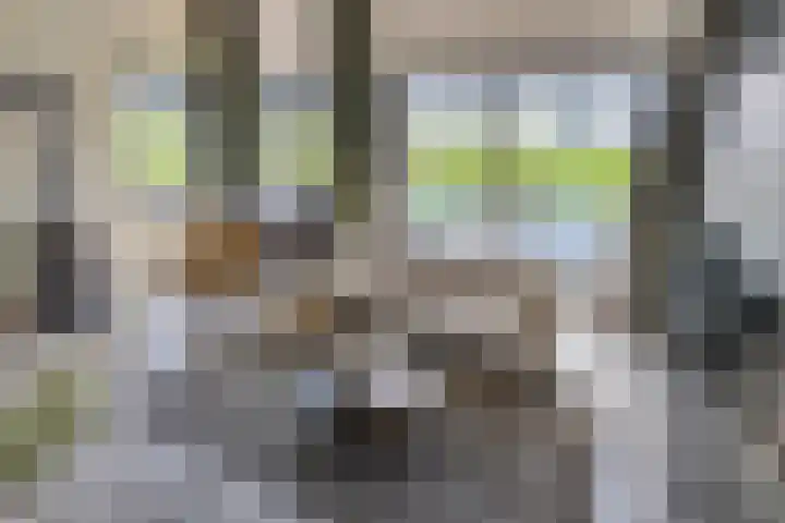 Waalzicht 6 Ochten thumbnail 42