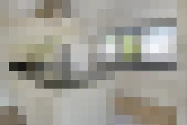 Waalzicht 6 Ochten thumbnail 43