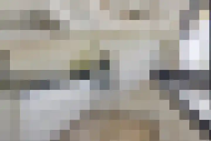 Waalzicht 6 Ochten thumbnail 44