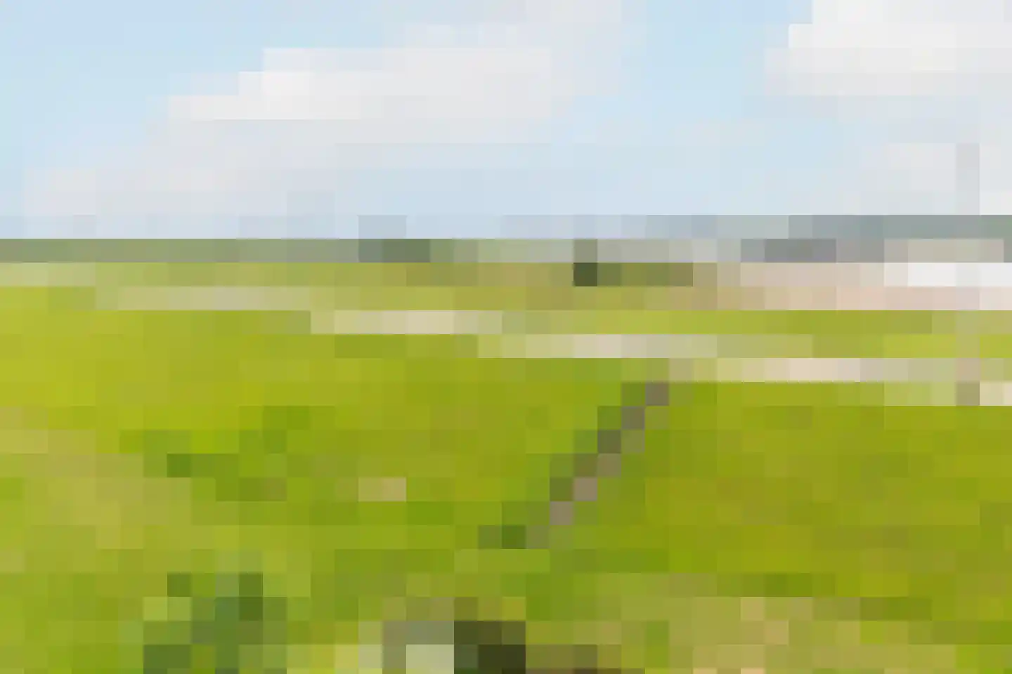 Waalzicht 6 Ochten thumbnail 48