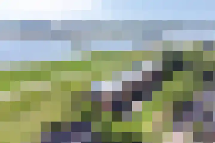 Waalzicht 6 Ochten thumbnail 5