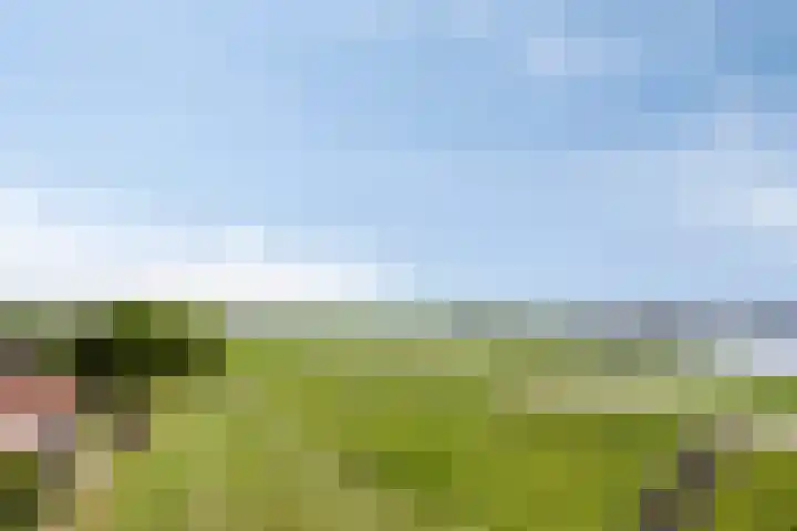 Waalzicht 6 Ochten thumbnail 52