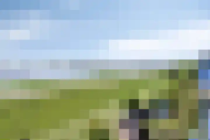 Waalzicht 6 Ochten thumbnail 53
