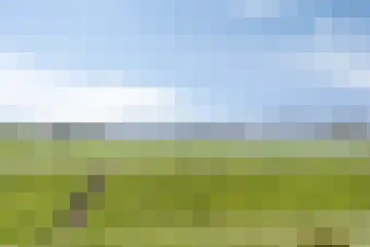 Waalzicht 6 Ochten thumbnail 54