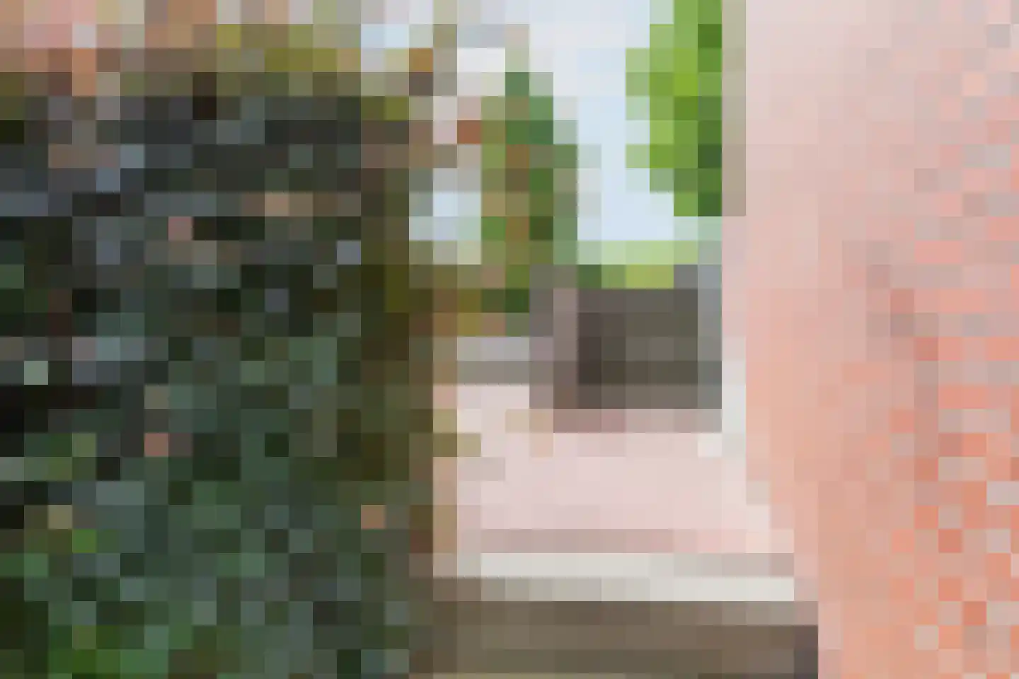 Waalzicht 6 Ochten thumbnail 54