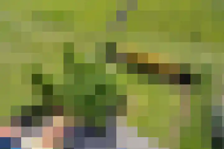 Waalzicht 6 Ochten thumbnail 55
