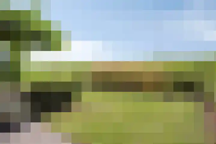 Waalzicht 6 Ochten thumbnail 57