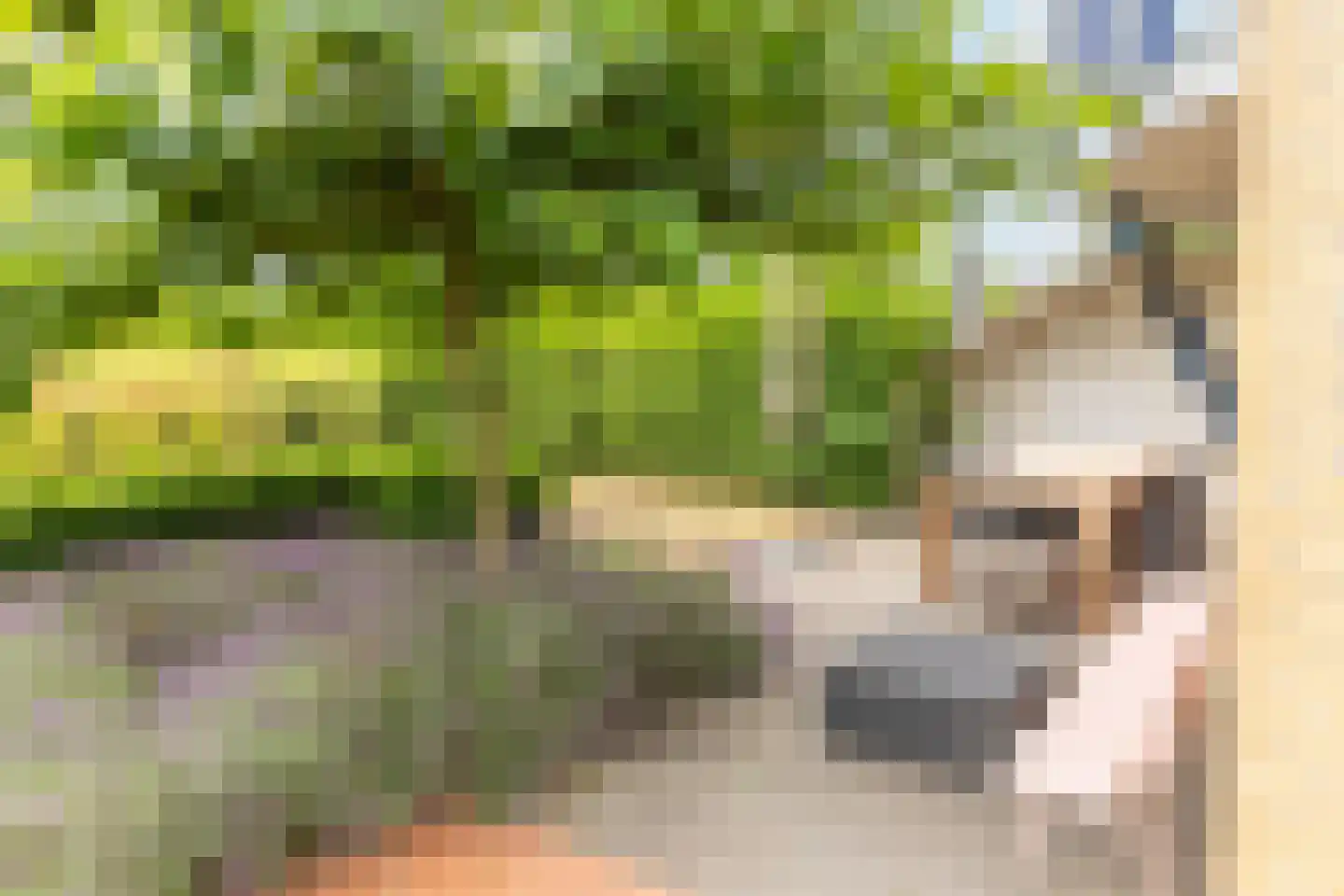 Waalzicht 6 Ochten thumbnail 59