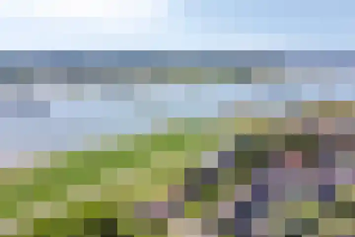 Waalzicht 6 Ochten thumbnail 6