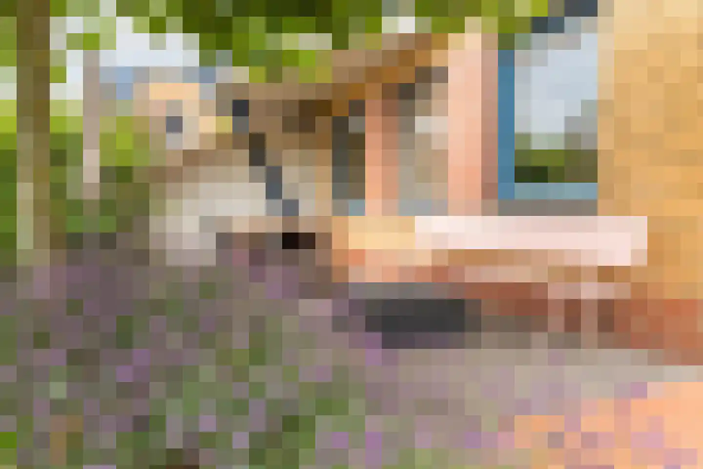 Waalzicht 6 Ochten thumbnail 62