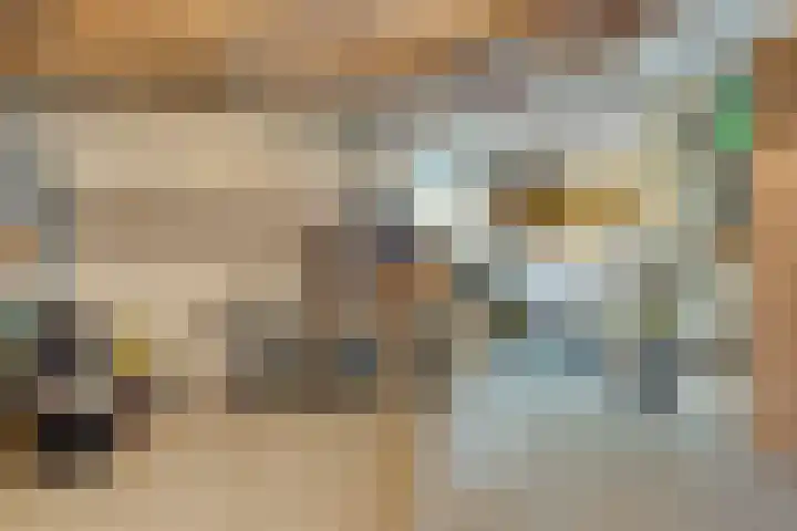 Waalzicht 6 Ochten thumbnail 62