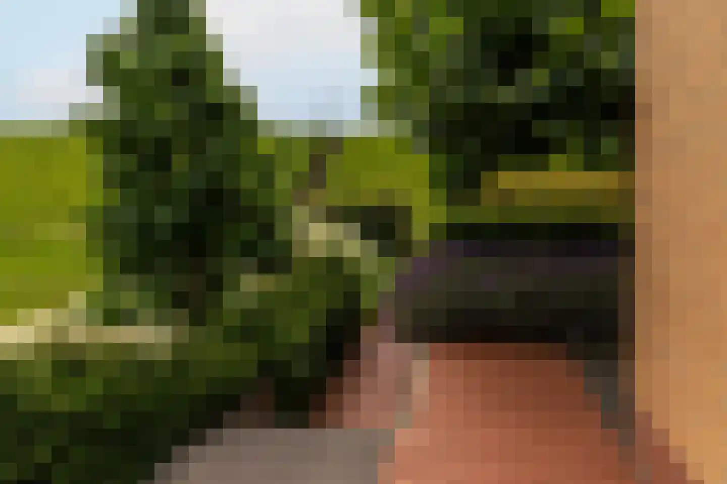 Waalzicht 6 Ochten thumbnail 63