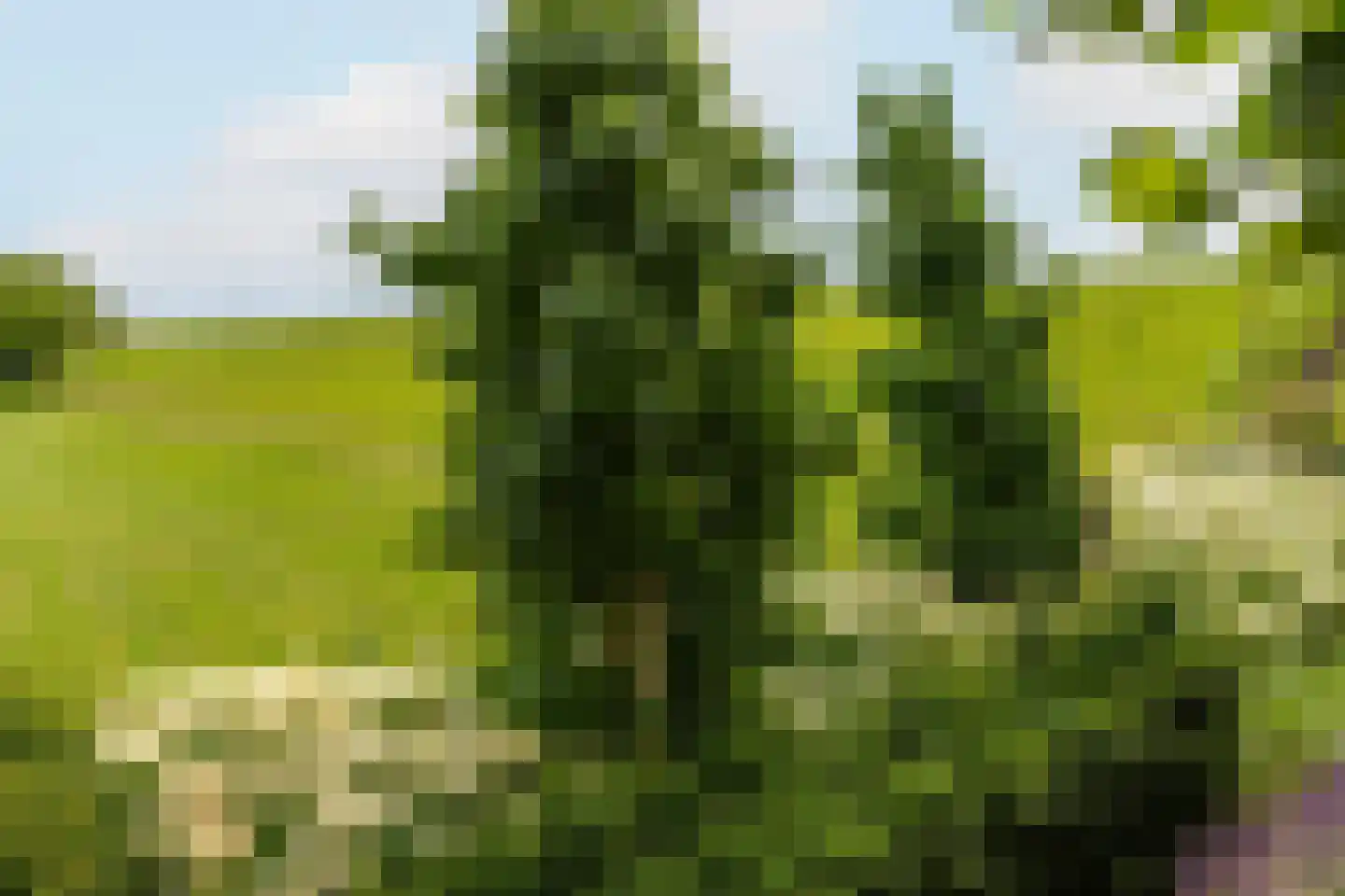 Waalzicht 6 Ochten thumbnail 64