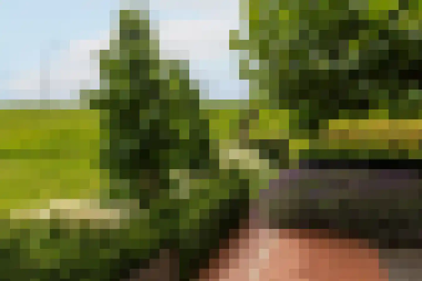 Waalzicht 6 Ochten thumbnail 65