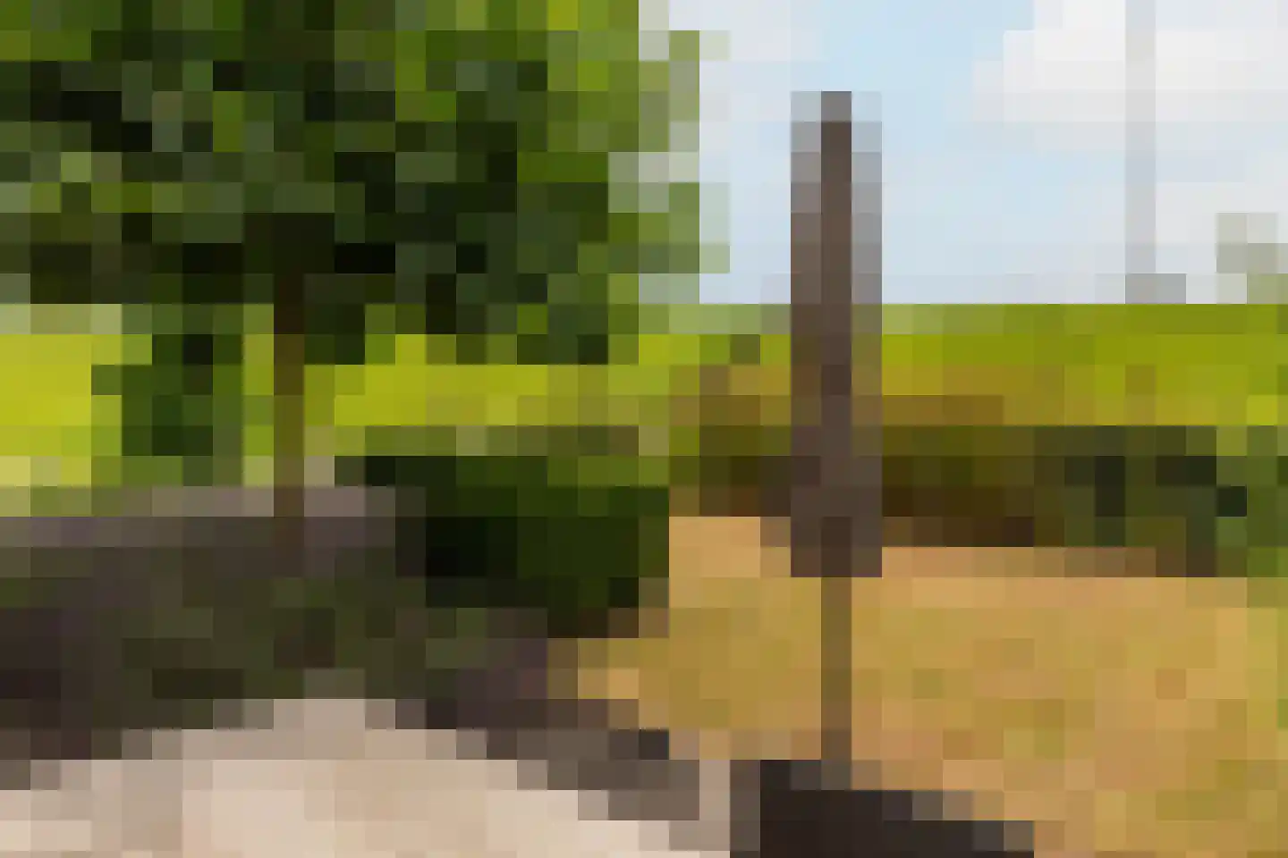 Waalzicht 6 Ochten thumbnail 66